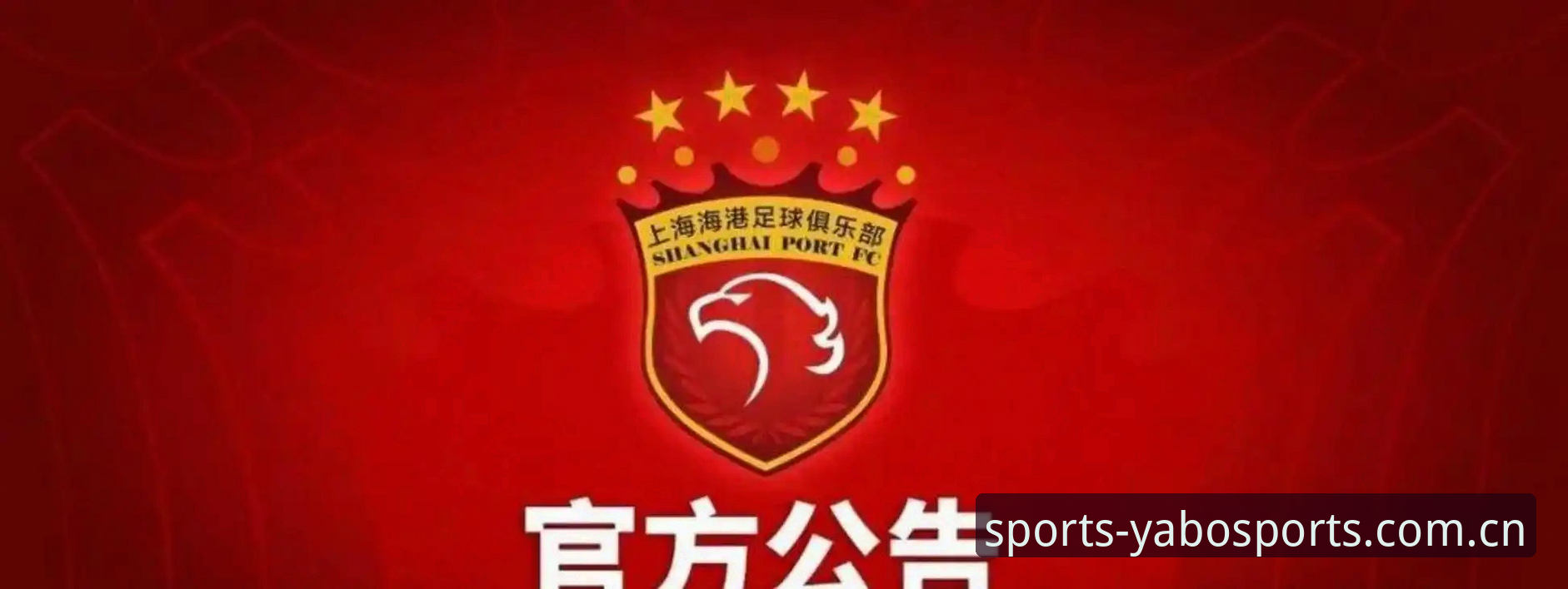 足协公布第三批禁足名单，这些高管和球员为何被终身禁止参与足球活动？